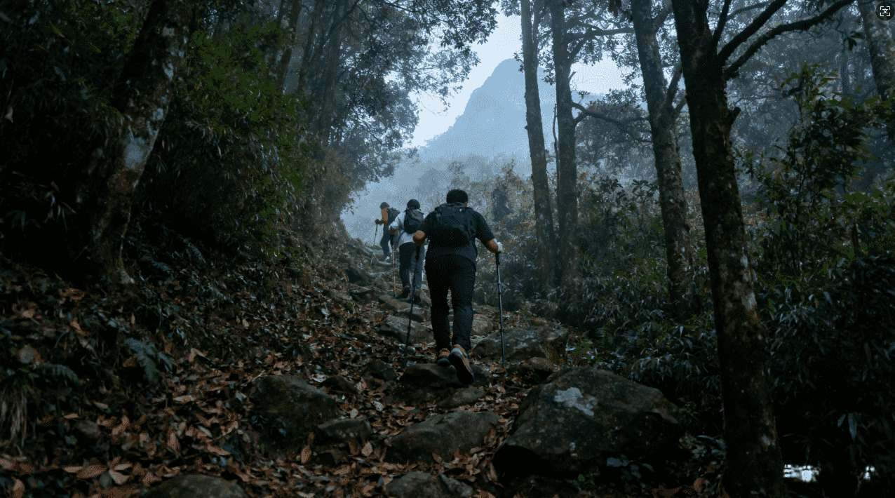 全面解析佛跳墙加速器的性能优势与使用体验评测